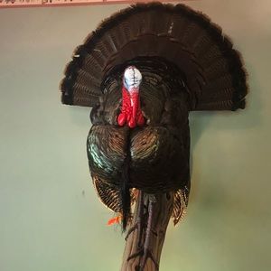 Meet your Posher, Johnny